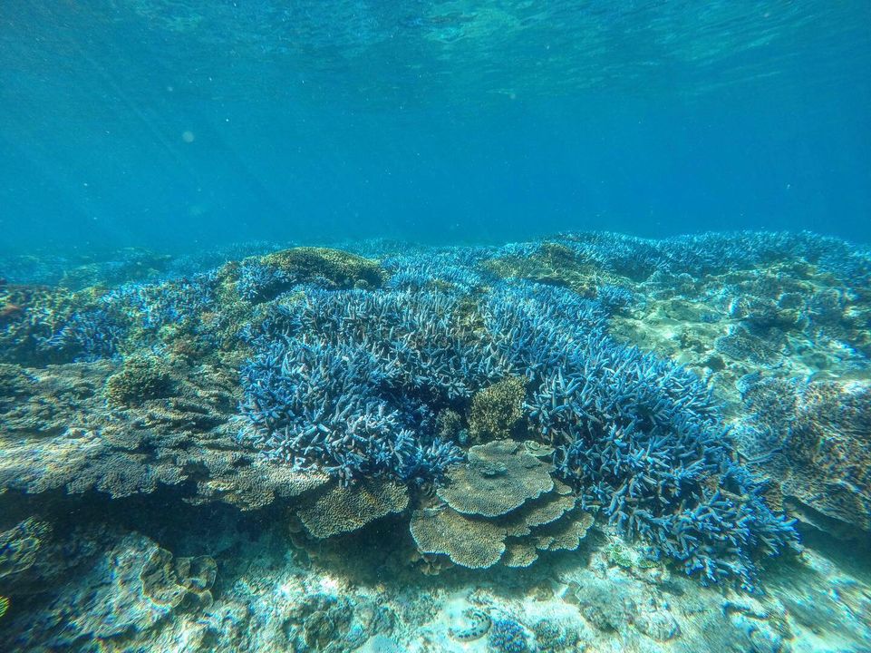 澎湖旅遊-南方四島浮潛